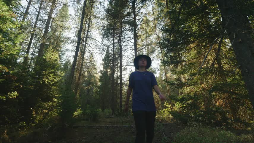A person walking on a trail through a dense forest with tall slender trees