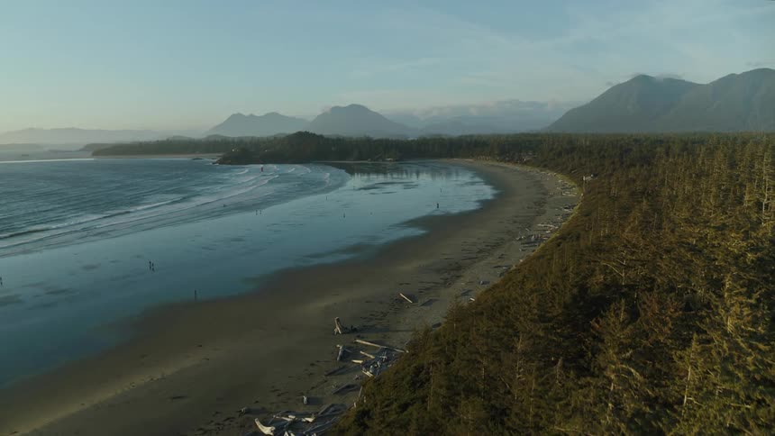 A long sandy beach stretches towards a distant mountain range with waves lapping at the shore and driftwood scattered along the edge