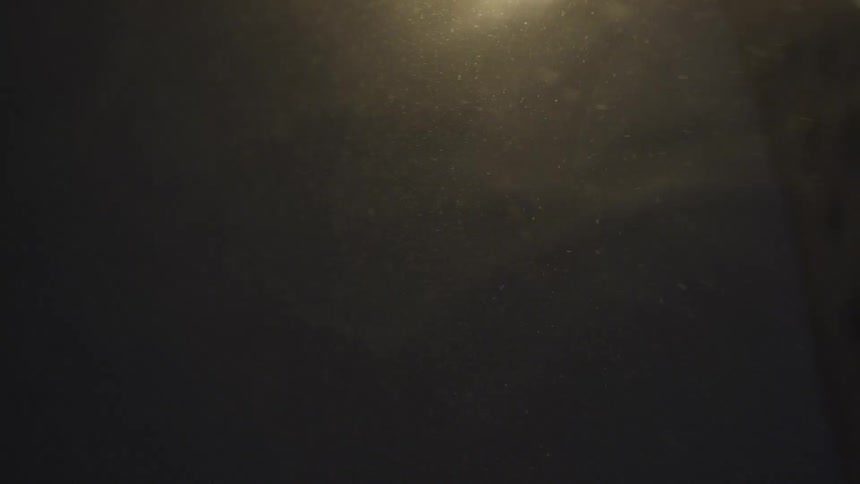 A light shining in the dark