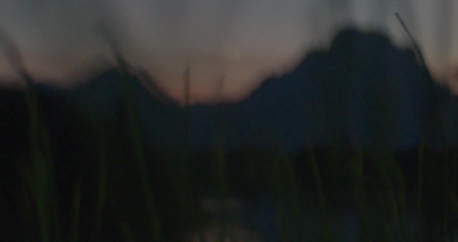 Some branches of green and hard grass in an environment with mountains in the background and it is getting dark
