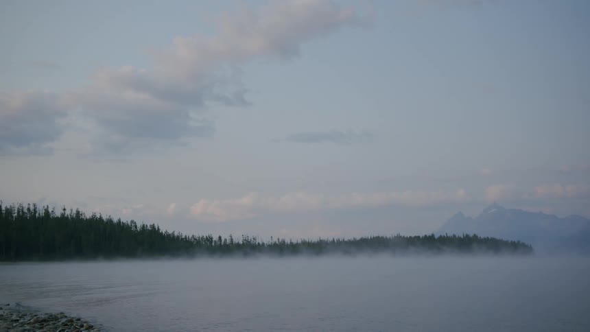 Landscape of fog on a river with forest in the background
