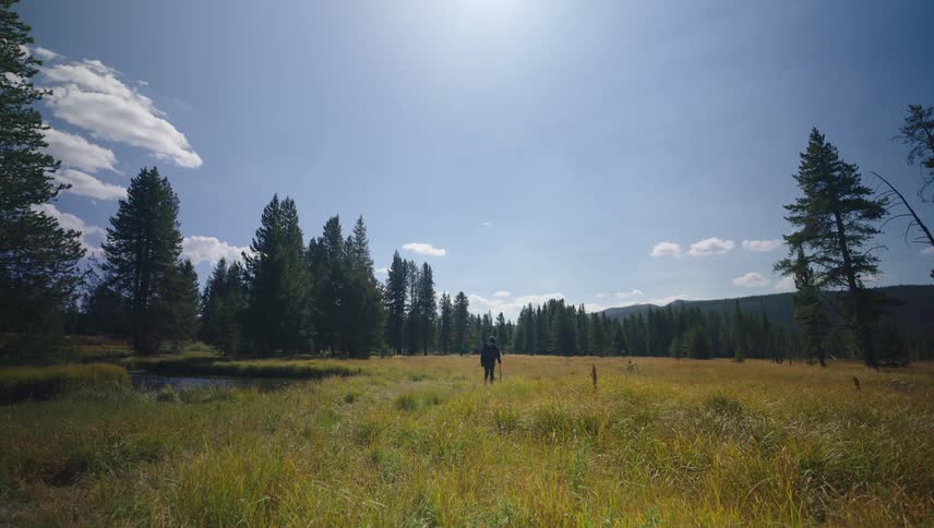 A male hiker walks through a forested meadow beside a stream on a mostly sunny day