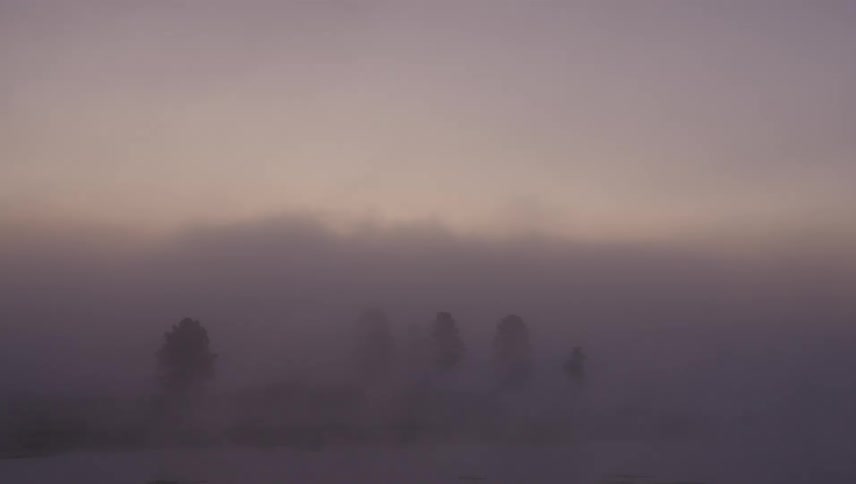 A thick fog enveloping a field with trees barely visible in the distance
