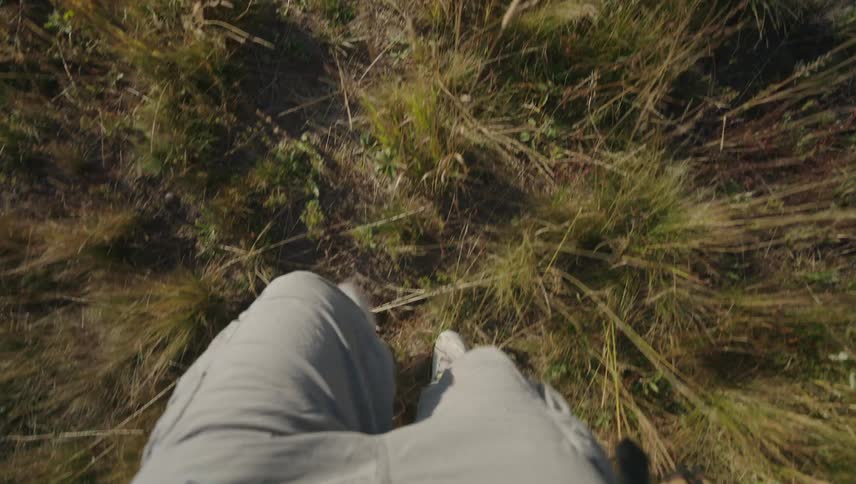 A topdown view of a person walking through tall grass wearing lightcolored pants and white sneakers