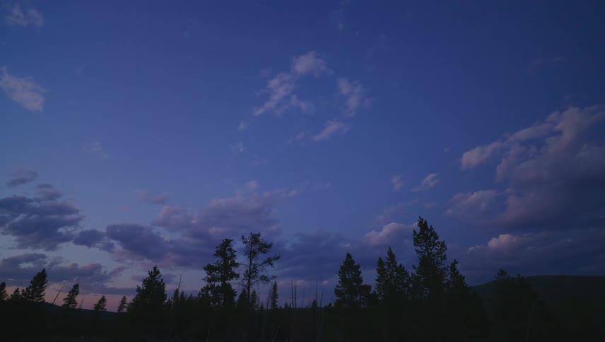 Landscape on a cloudy dawn in an area with conifers