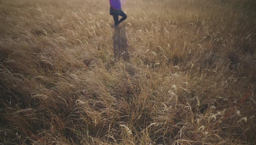 A person bundled up in a coat is walking through a field of grass