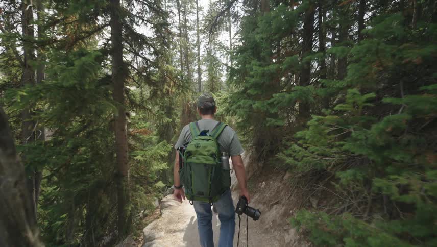 Man with backpack and holding professional camera walking along a forest trail