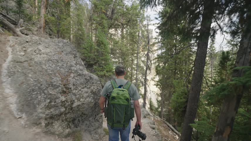 Photographer walks along a trail surrounded by tall dense trees