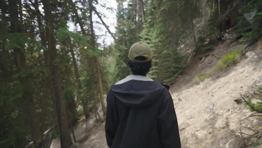 A man wearing a black jacket and a green cap is walking along a forest trail surrounded by tall evergreen trees
