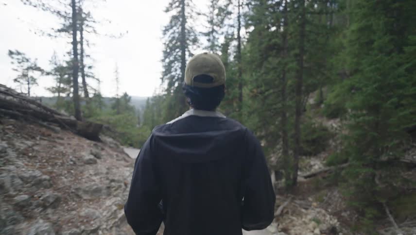 Hiker travels along a path on a slopenear a ravine in a conifer forest