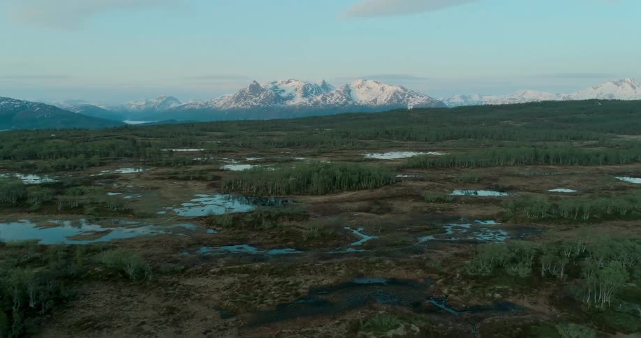 Groves of trees sit along the river and the marsh near snowy mountains