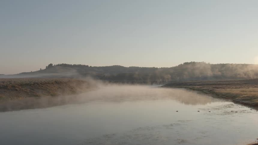 Birds are crossing the waterway on a foggy day