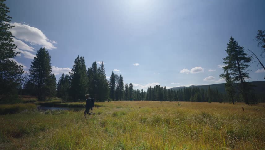 A male hiker walks through a forested meadow beside a stream on a mostly sunny day