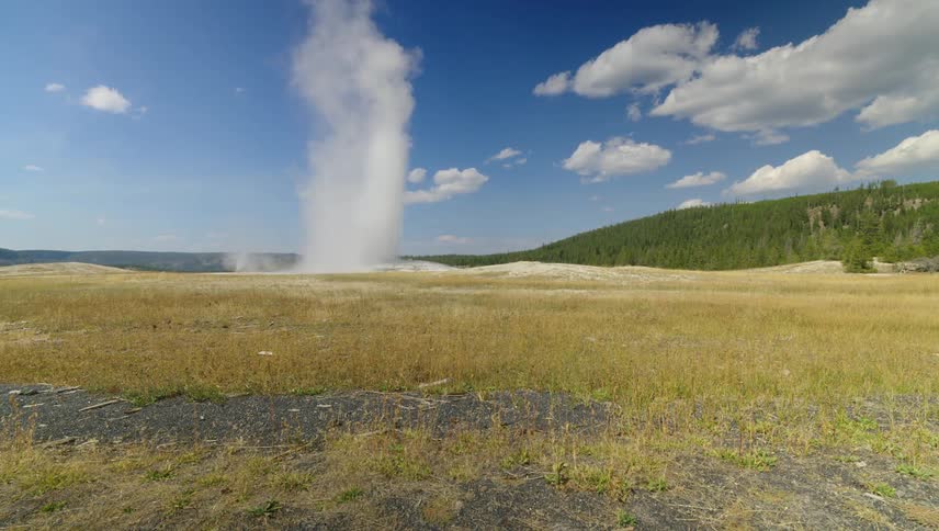 A geyser spewing a lot of white water vapor upwards into a field of beige grass