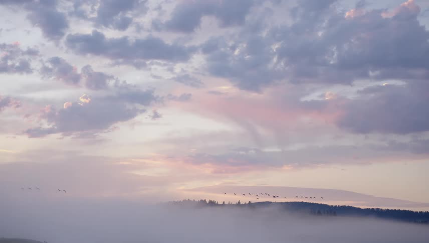 A flock of birds flying through a sky painted with soft pastel hues at dawn above a misty valley