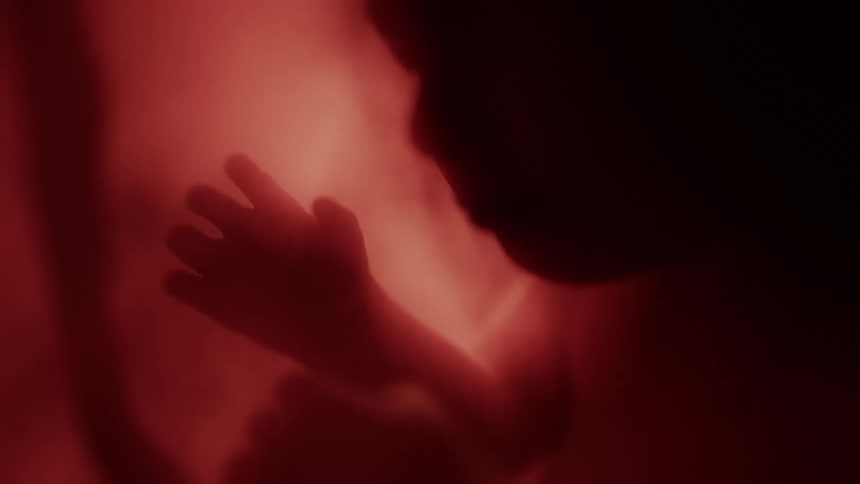 Silhouette of a fetus in utero with hands floating against a reddish background