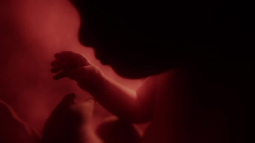 A baby is floating in the womb