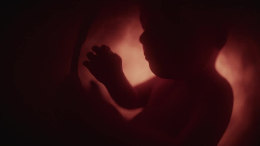 Baby in mothers belly