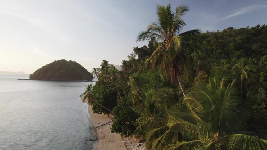 A pristine beach lined with swaying palm trees stretches along a turquoise sea with a small island visible in the distance