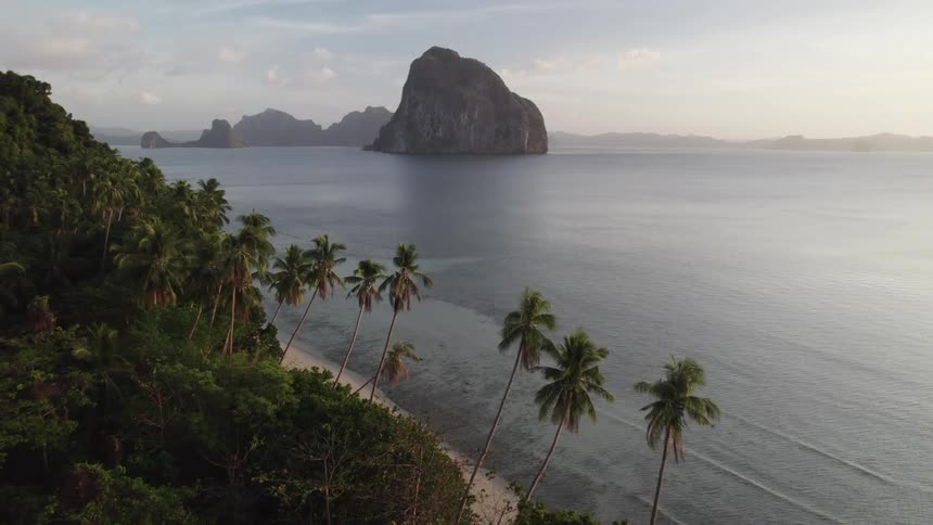 Palm trees tower over a strip of beach at the edge of a tropical forest with islets and islands in the background