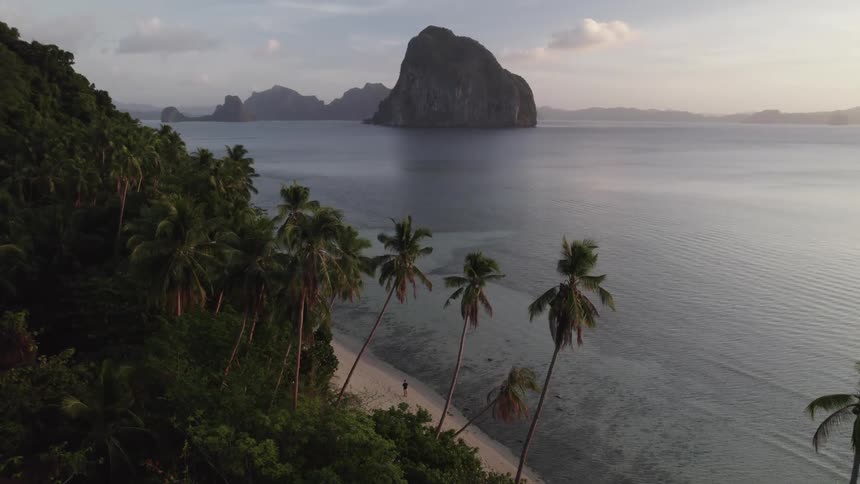 A lone figure walks along a pristine beach lined with palm trees with a dramatic limestone cliff rising in the distance