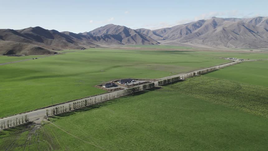 A long straight road lined with trees cuts through a vast green field with mountains in the distance under a bright blue sky