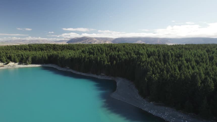 Trees in a large conifer forest cast shadows on a beach and the nearby blue water on a cloudy day