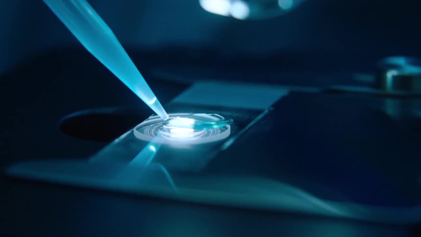 A pipette dispenses a liquid onto a sample on a glass slide under a microscope