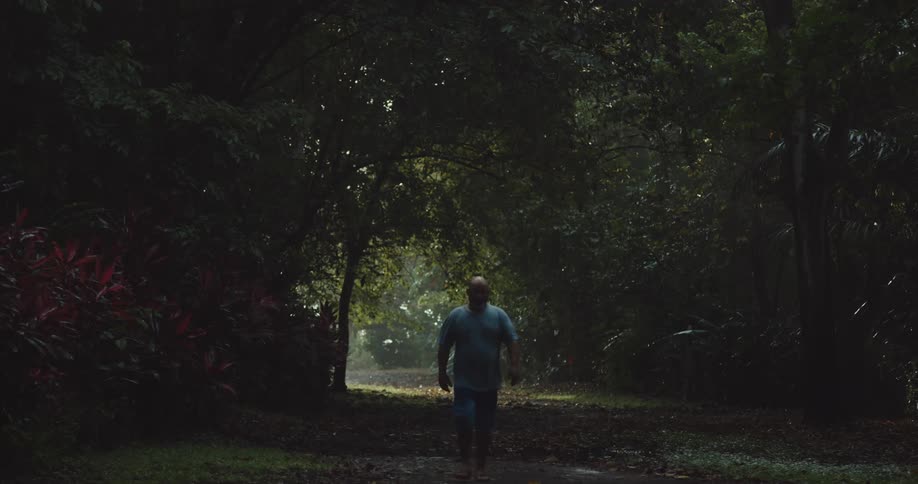 A man walks out of the forest