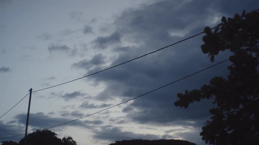 A bird flies off the power line