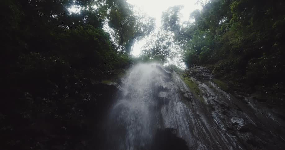 A waterfall cascading down a mossy cliff shrouded by a canopy of lush green trees