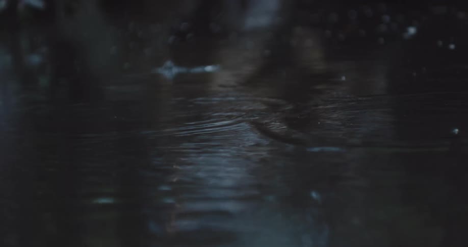 Water droplets fall into water creating ripples
