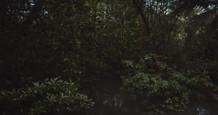 A park with a small pond