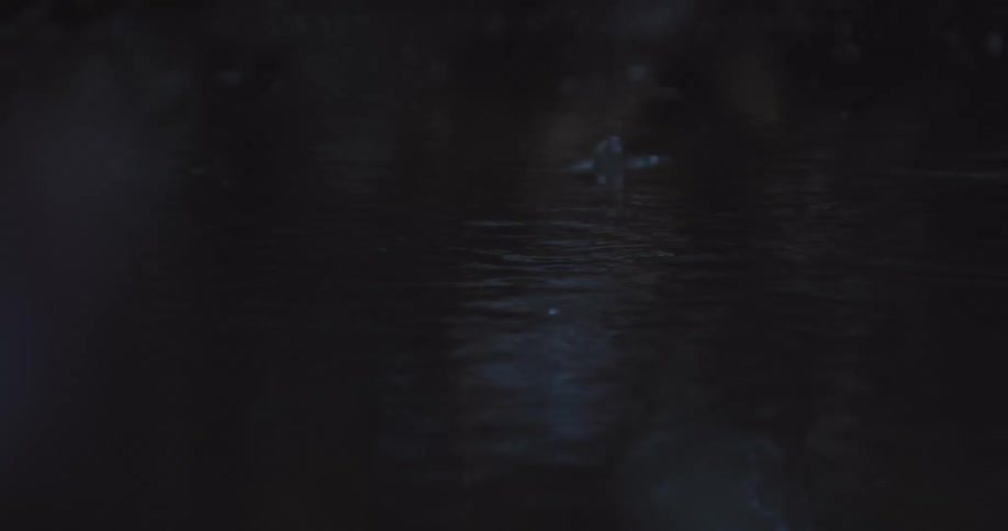 Water droplets fall into water creating ripples