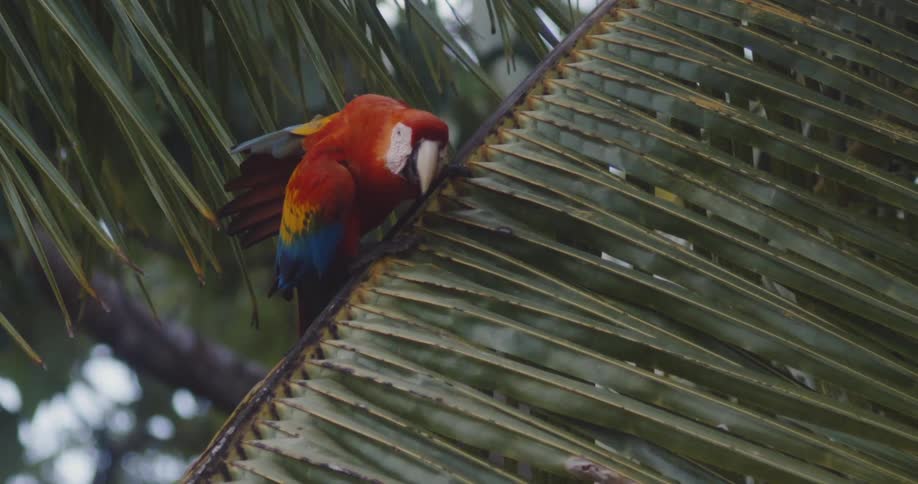 A bird flies off the branch