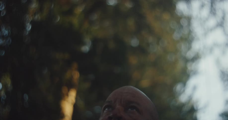 A man is looking up at the sky