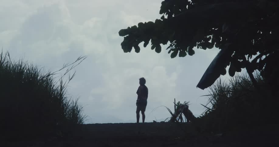 The silhouette of a person standing in an environment with a tree on the right side and a white sky with dense clouds