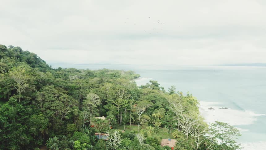 Aerial of a rural housing community on a tropical coast
