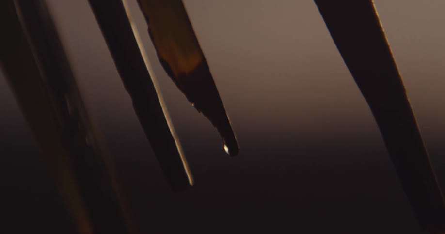 Water droplet falling on a tropical leaf