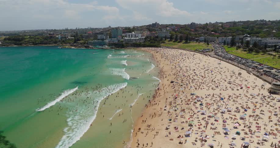 An aerial view of many people on the sand of a beach with ocean waves crashing on the shores