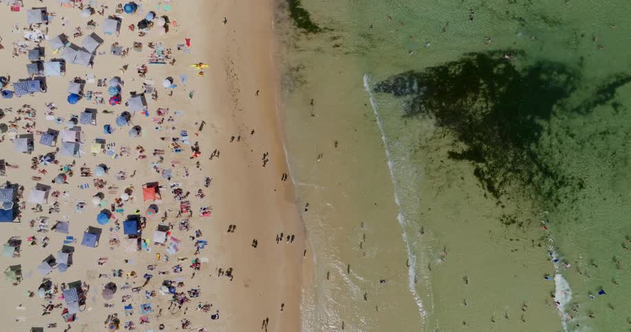 Aerial of a crowded beach with people swimming and sunbathing