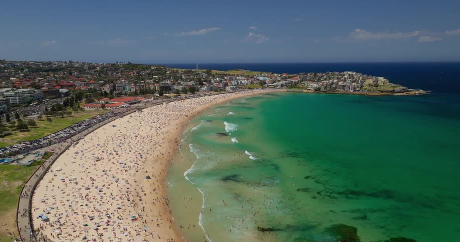 Aerial view of a green beach with a crowd of people