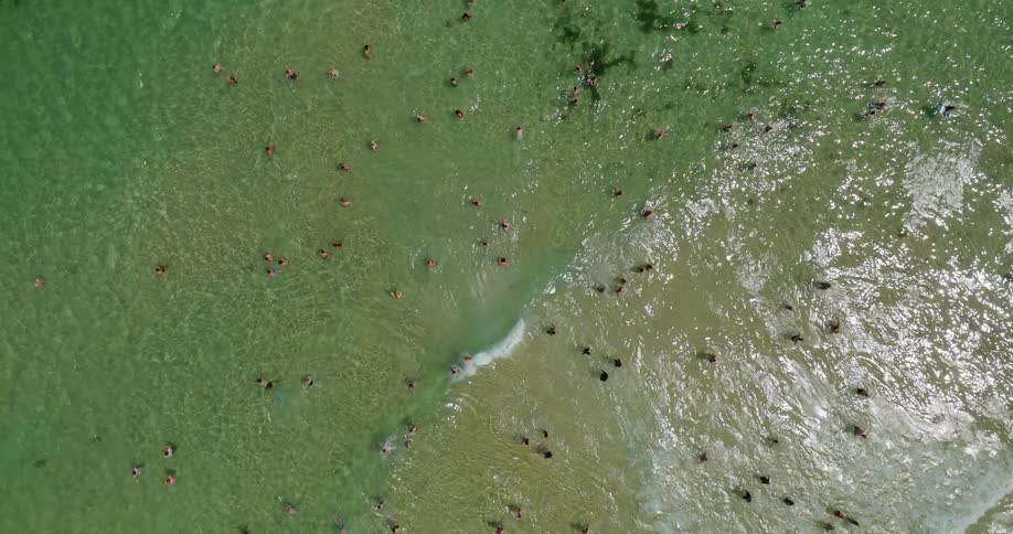 Aerial shot of bathers on a beach