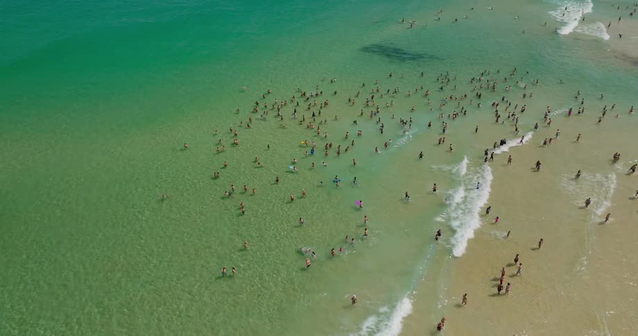 Aerial view of swimmers enjoying a beach with greenish water