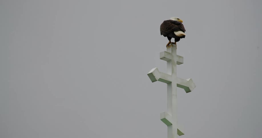 A majestic bald eagle perches atop a tall white cross against a stormy sky