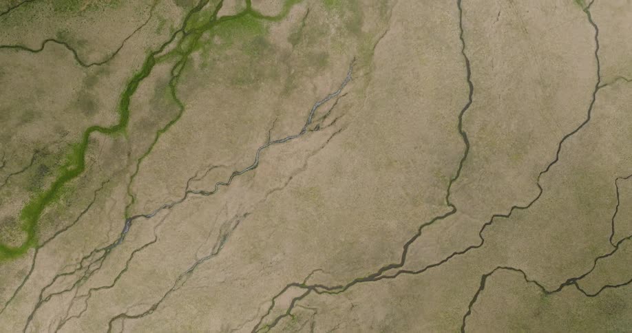 Aerial view of riparian zone in Alaska