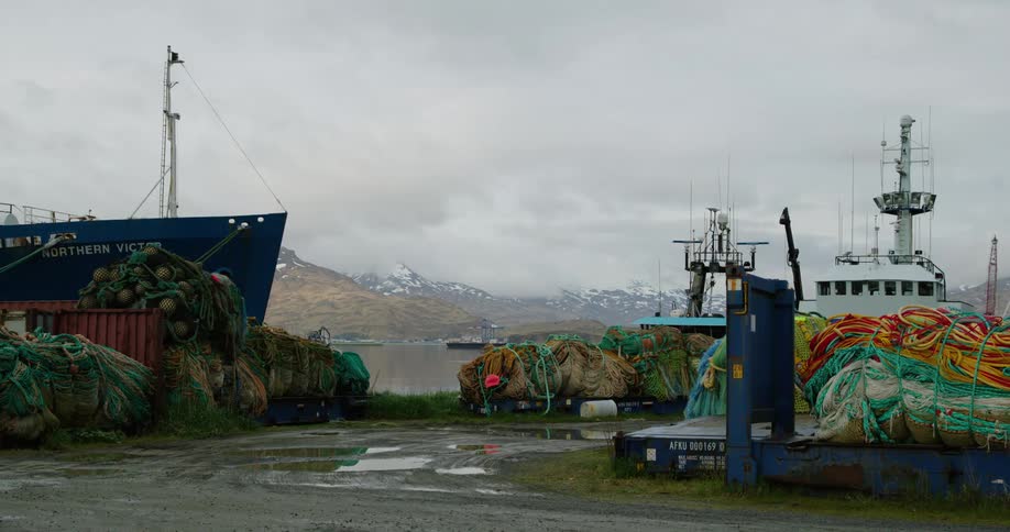 Ships docked in an environment surrounded by colorful nets