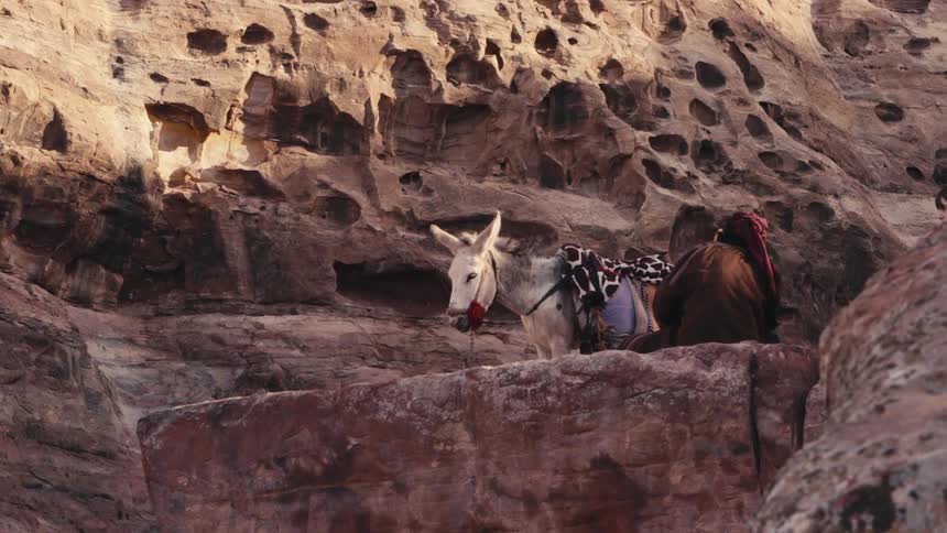 Man sitting on ruins next to a white donkey