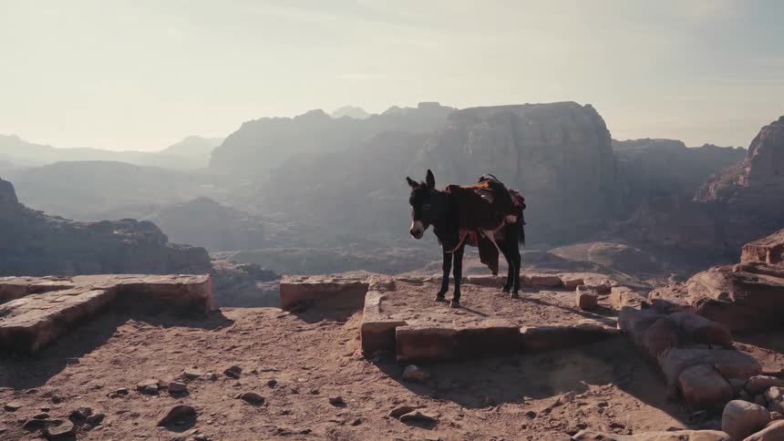 A clip of a donkey at the edge of a cliff