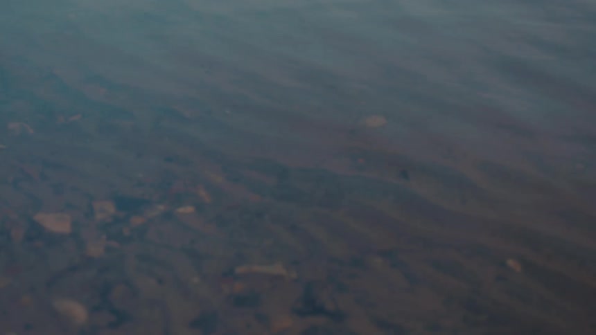 Calm water of a lake